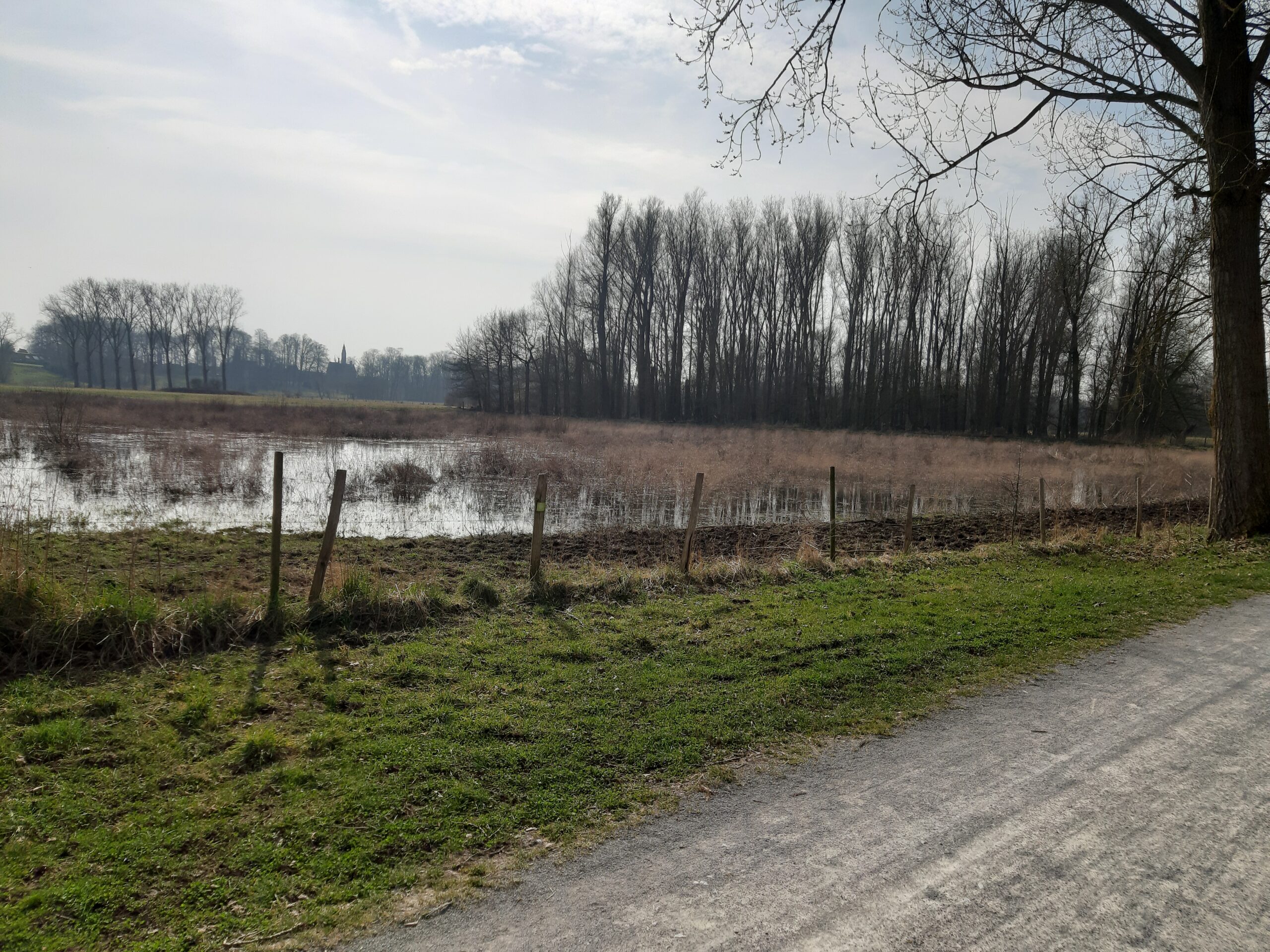 Avondfietstocht in de rand van Gent